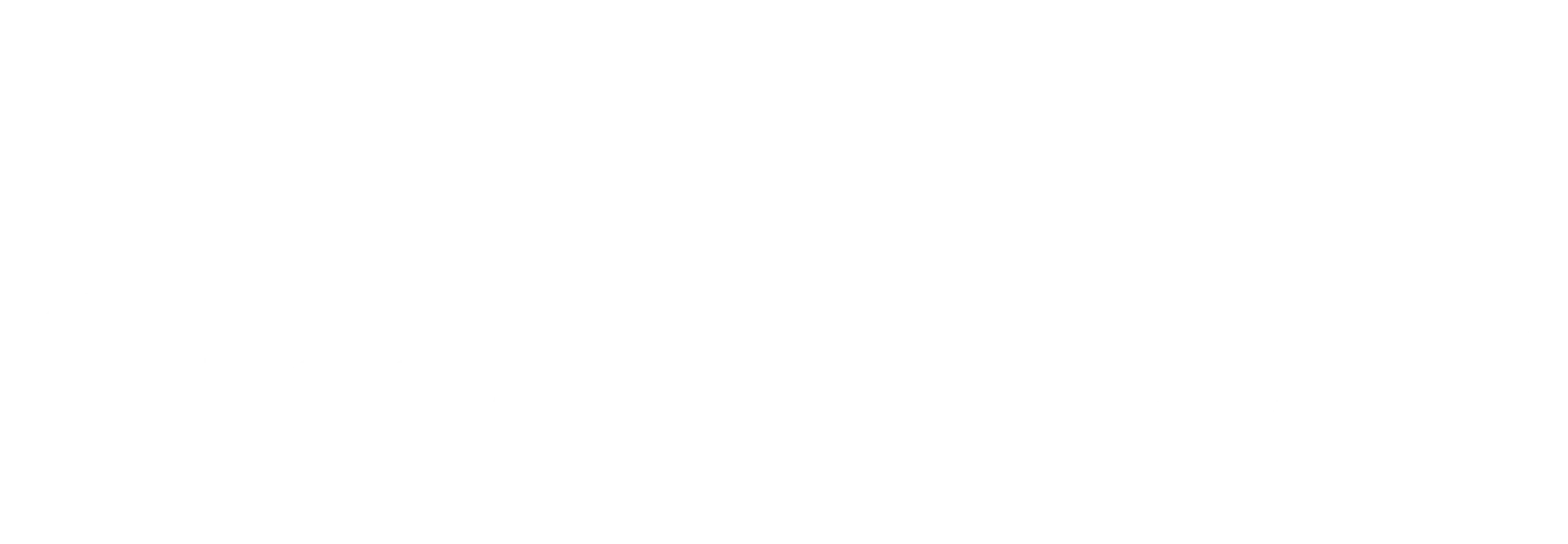 Smart IMS White Logo